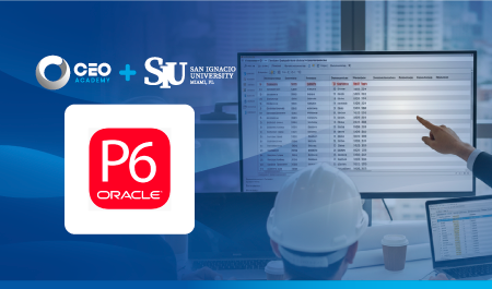 Primavera P6 - Proyecto Vial e Infraestructura