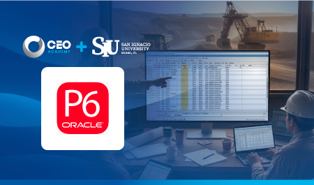 Primavera P6 - Proyecto Minero